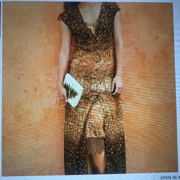 Soft Surroundings Dresses & Skirts - NWOT Soft Surroundings animal print Maxi